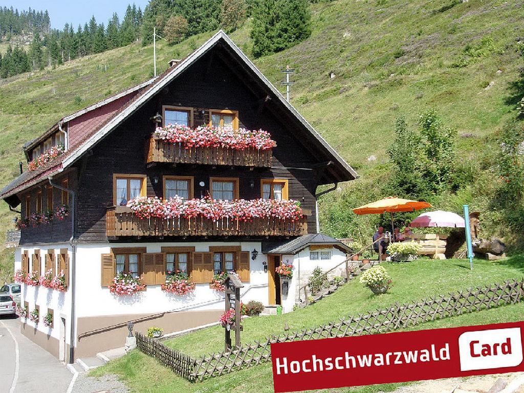 Ferienwohnung Gästehaus Wild Menzenschwand-Hinterdorf Exterior foto